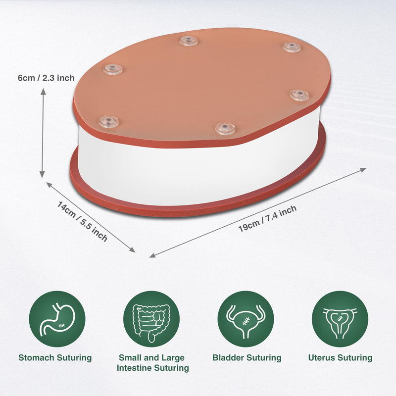 [Australia - AusPower] - Hollow Organ Suture Simulation Model, Suture Practice Kit for Medical Students, Surgical Kit for Medical Training, Nursing Doctor Practice Suture Pad(Replaceable Silicone Pad) 