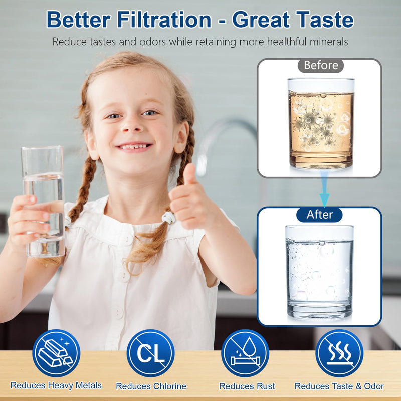 Water Filter Replacement for Berkey, Black Purification Elements, Activated Carbon Filters, Compatible with Berkey Gravity Water Filter System, Pack of 2 2 Black