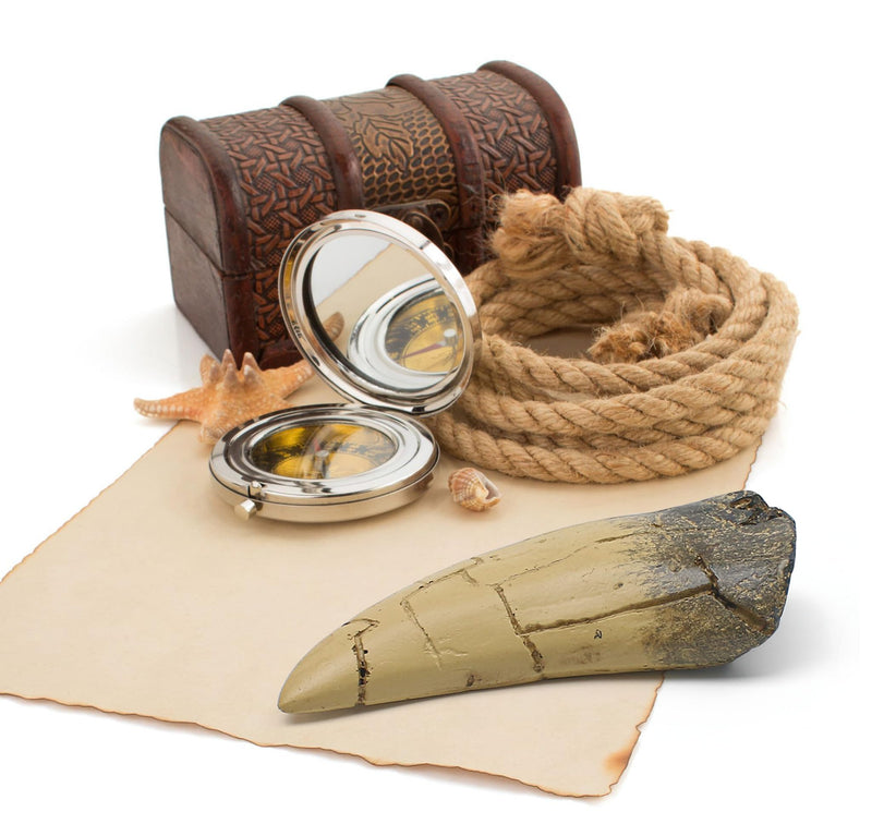 [Australia - AusPower] - T rex Tooth, Dinosaur Teeth, Resin Tyrannosaurus Toothy Direct Cast Replica, Mosasaurus Spinosaurus Trex Fossils Model for Necklace, Fossilized Various Prehistoric Dinosaurs High-Fidelity Replicas 