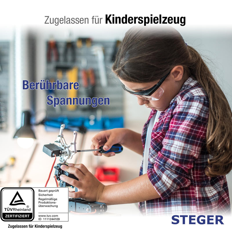 STEGER 12 V Power Supply 1 A 12 W, Certified Power Supply for Toys, LED, Model Making and IT Devices, 12 Volt Power Supply with Plug 5.5 mm x 2.1 mm, Universal Power Supply 100-240 V AC/DC Adapter 50-60 Hz 12 watts