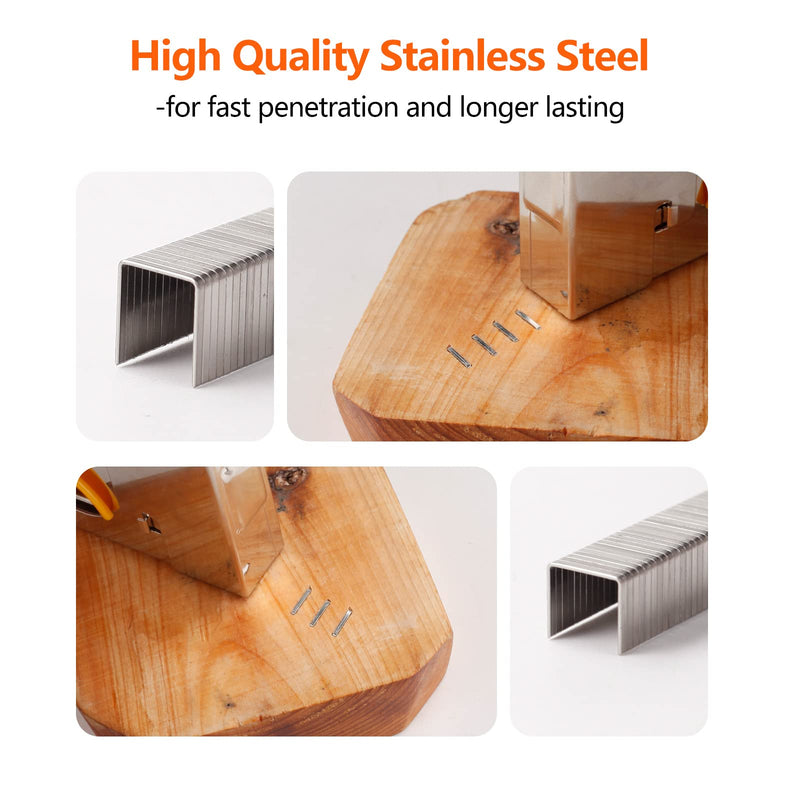 [Australia - AusPower] - Heavy Duty Stainless Steel T50 Staples 1000-Count 2 Sizes for Staple Gun, Includes: 3/8", 1/2" Assortment, Combo kit 