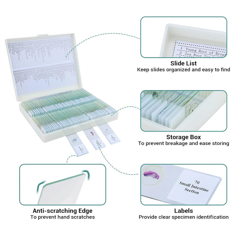 USCAMEL prepared microscope slides with specimens including bacteria, fungi, human tissues, insects, and plant cells for biological study.