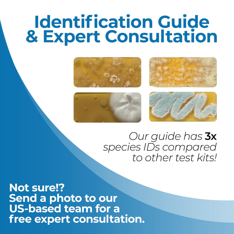 #1 Indoor Air Quality Test Kit by Detekt - (12) Screening Tests 6 Mold Tests + 6 Bacteria Tests - Test HVAC & Surfaces - DIY Mold Testing - Species Identification Guide & Consultation - Made in USA