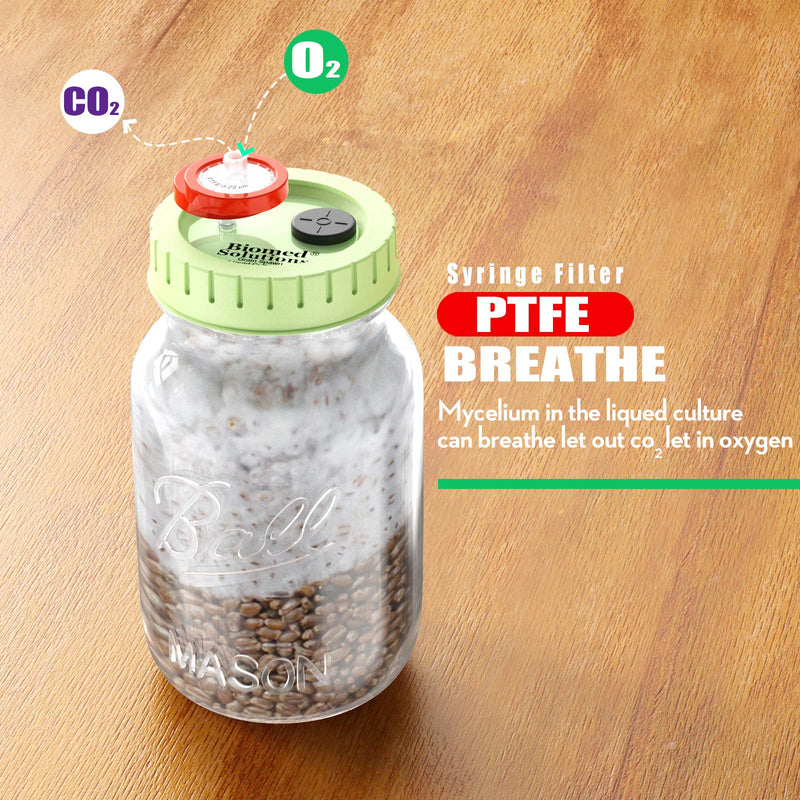 [Australia - AusPower] - 6 x Mushroom Culture Lids Regular Mouth Lid with 0.2 Micron PTFE Syringe Filter and 20mm Self Healing Injection Ports for Mushroom Growing Mycology 