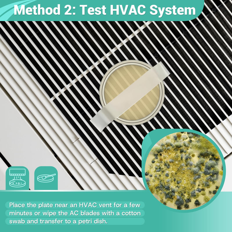 [Australia - AusPower] - Mold Test Kit for Home Detection: 4 Simple DIY Science Kits for Fastly Testing Home Surfaces & Air Quality Detector & HVAC Monitor Includes Detailed Identification Guide 4 Test Plates 