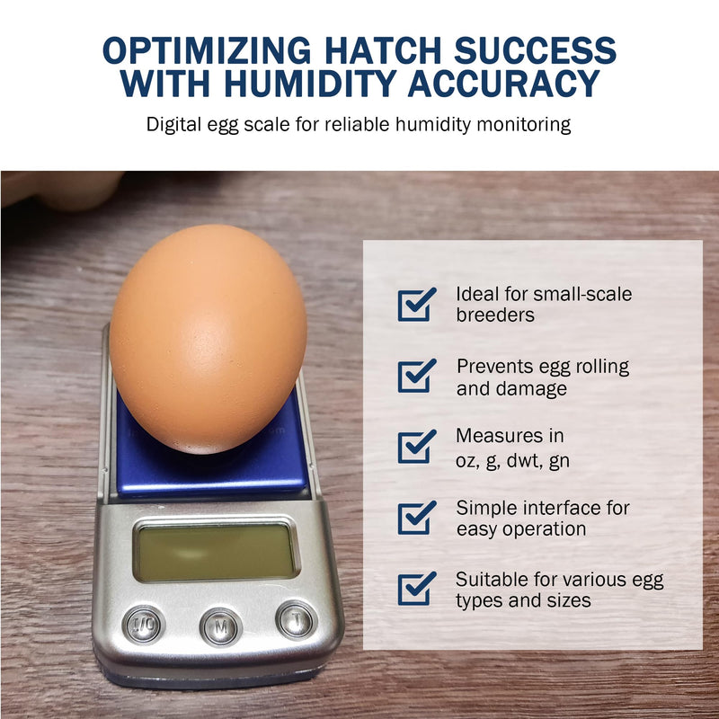 Digital Scale with Blue Backlit LCD Display - Accurate Humidity Measurement