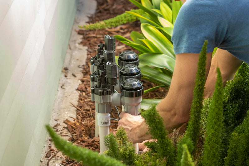 [Australia - AusPower] - Rain Bird DASASVF075 Professional Grade Anti-Siphon Valve with Flow Control, 3/4" Threaded Female x Female 0.75 Inch 
