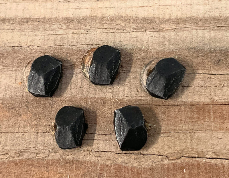 [Australia - AusPower] - Metal Magery 2" Wrought Head Nails Decorative Antique Rose Head Nail QTY: 25 