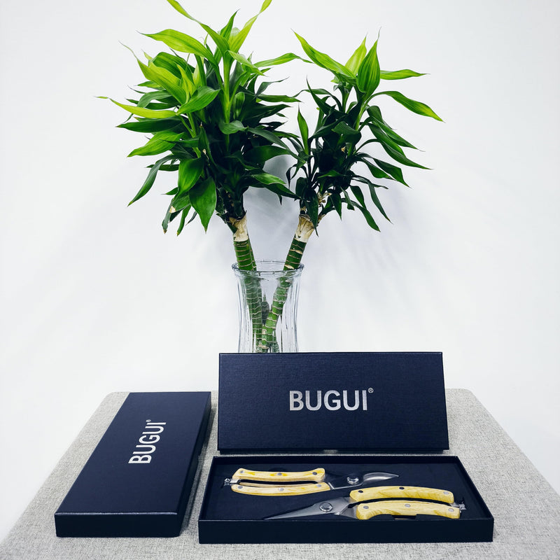 BUGUI 8” Wood Handle Garden Scissors, Set of 2, Includes Bypass Pruning Shears and Long Straight Tip Clippers, Premium Gardening Tools with Precision-Ground SK-5 Steel Blade 8"WoodHandleShearsSet(E023)