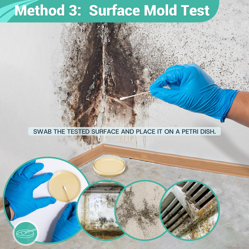 [Australia - AusPower] - Mold Test Kit for Home Detection: 4 Simple DIY Science Kits for Fastly Testing Home Surfaces & Air Quality Detector & HVAC Monitor Includes Detailed Identification Guide 4 Test Plates 
