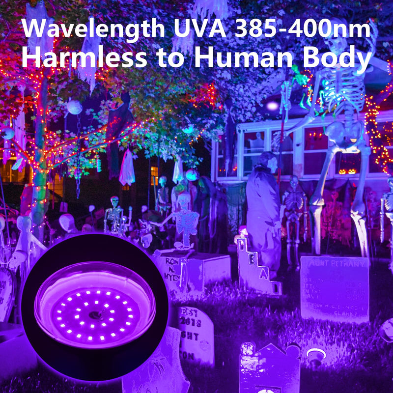 TigQiang 6 Pack Black Light Bulbs, Blacklight Bulb 120W Equivalent, E26 BR30 LED Black Light Bulb 385-400nm for Halloween Christmas Decorations, Body Paint, Glow in The Dark Party, Fluorescent Poster