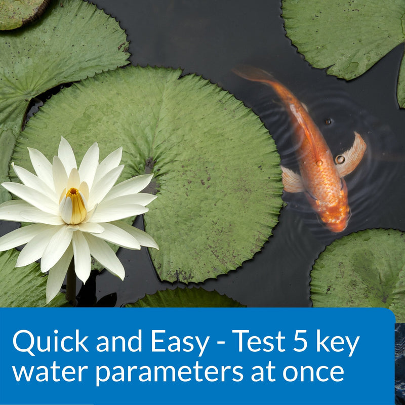 API POND 5 IN 1 POND TEST STRIPS Pond Water Test Strips 25-Count