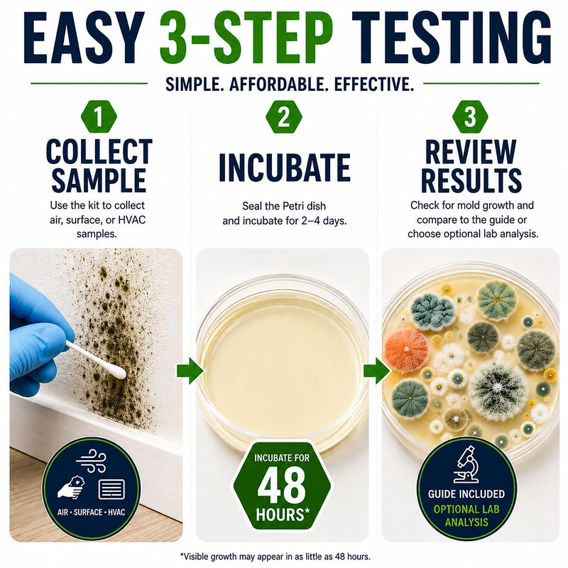 Evviva Sciences Mold Test Kit for Home - 5 Simple Detection Tests w/Optional Lab Analysis (Extra Fee), Test HVAC System, Home Surfaces, & Indoor Air Quality - Downloadable Mold Information Guide
