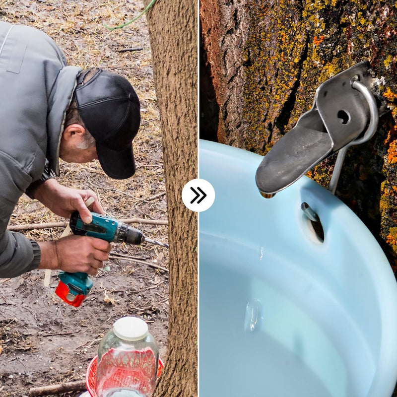 [Australia - AusPower] - Maple Syrup Tree Tapping Kit - Includes Maple Syrup Spiles and Maple Tree Tapping Drill Bit for Tap - Stainless Steel Spiles with Bucket Hook - Maple Tree Tapping Kit - Maple Syrup Supplies (6) 6 