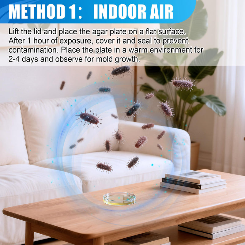 [Australia - AusPower] - Mold Test Kit for Home,6 Simple Detection Tests,DIY Indoor Air Quality, Surface & HVAC Analysis,Includes Detailed Identification & Health Risk Guide 