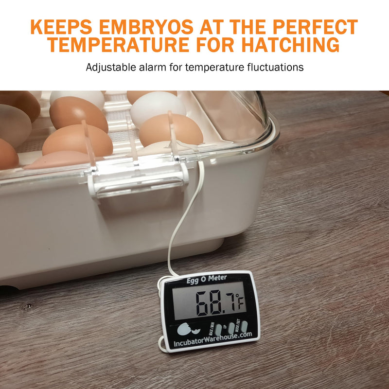 [Australia - AusPower] - Incubator Warehouse Egg-O-Meter - Large Digital Display Egg Thermometer with Min/Max Memory - Reads Celsius and Fahrenheit +/-1 
