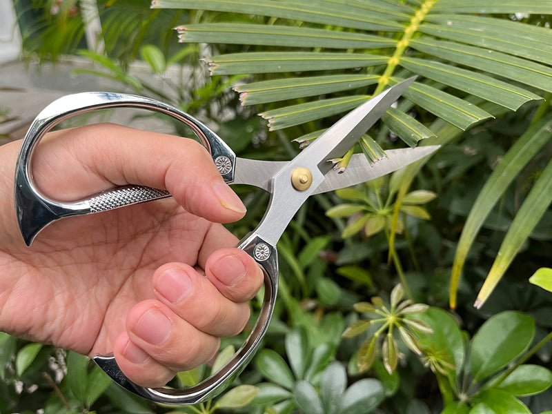 Indoor Plant Shears Garden Scissors, Flower Pruners Made of Japan SK5 Stainless Steel, Flowers Herbs and Plant Cutters, Clippers, Trimmers, Loppers, Bonsai Potted Plant Pruning Scissors silvery-k82