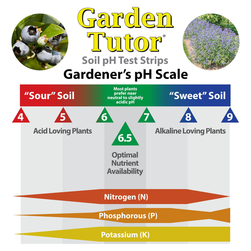 Garden Tutor Soil pH Test Kit – 100 Strips with AI-Powered Web Reader – Accurate Testing for Lawn, Garden & Compost – pH 3.5–9 1.9L x 1.9W x 4.3H