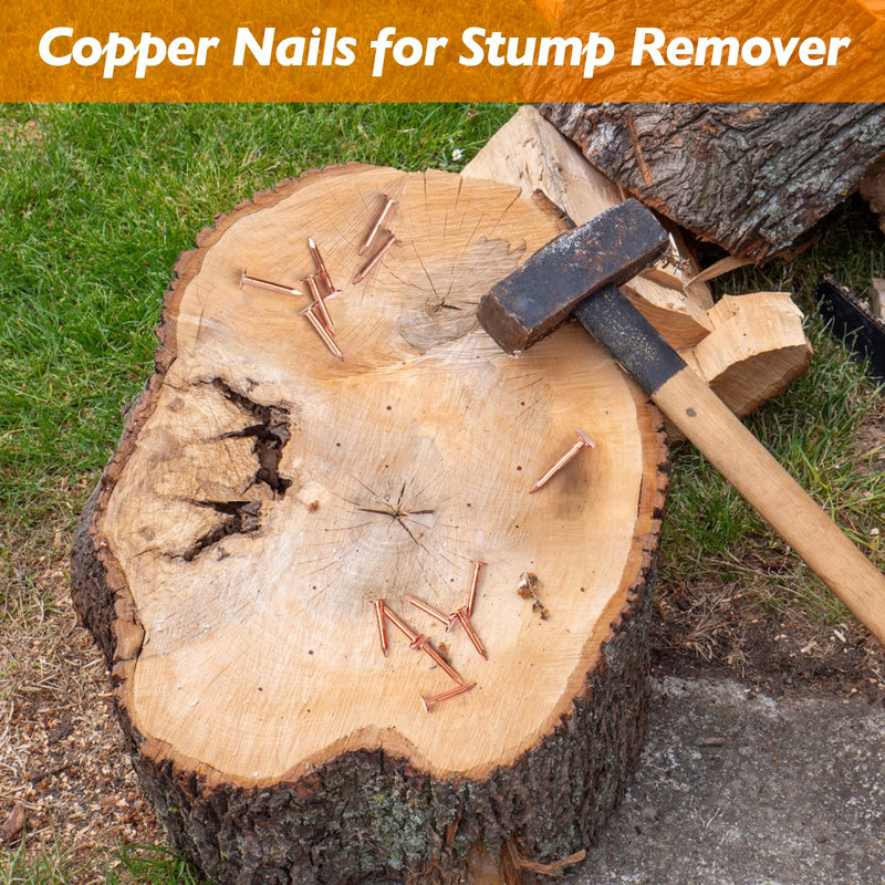 [Australia - AusPower] - Copper Nails – 1 Inch Roofing Nails 110pcs – 99.95% Pure Copper Nails for Roof, Copper Flashing, Tree, Stump Remover, Roots, Landscaping & Crafts 1" Copper Nails, 110pcs 