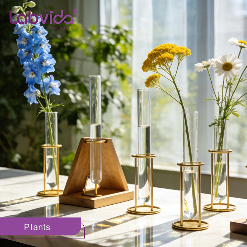 50pcs of Vol.16ml Borosilicate Glass Test Tubes, 16x150mm with Round Bottom, LVH1001 50pcs of Vol.16ml