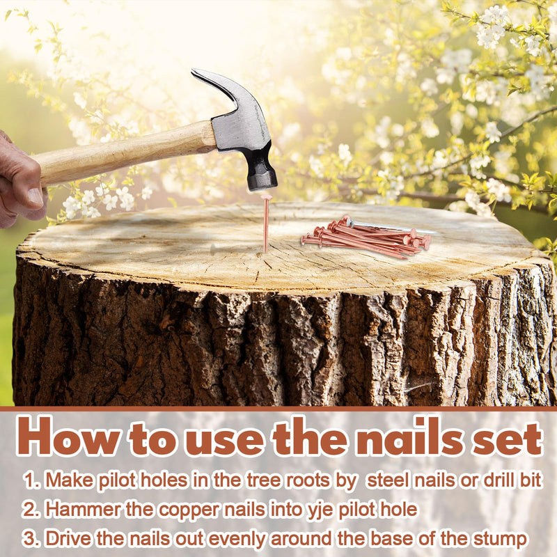 [Australia - AusPower] - Gisafai 47 Pcs Copper Nails Tree Stump Killer Set, Include 40 Copper Nails for Killing Trees, Stumps and Roots 3.5 Inch Stump Removal Spikes with 4 Steel Nails 2 Drill Bit Nails and Storage Box 