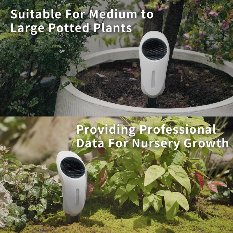 [Australia - AusPower] - Netro Whisperer 2nd Gen Smart Plant Sensor, APP-Baed, WiFi Connected, Solar Powered for Outdoor Use 