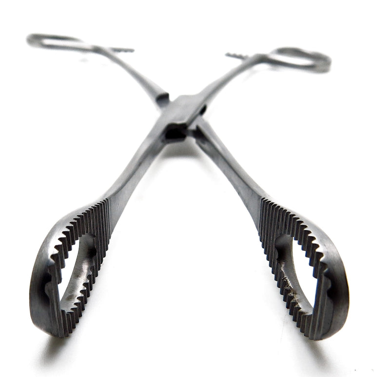 Foerster Sponge Forceps 12" Straight Serrated Surgical Holding Veterinary Instruments