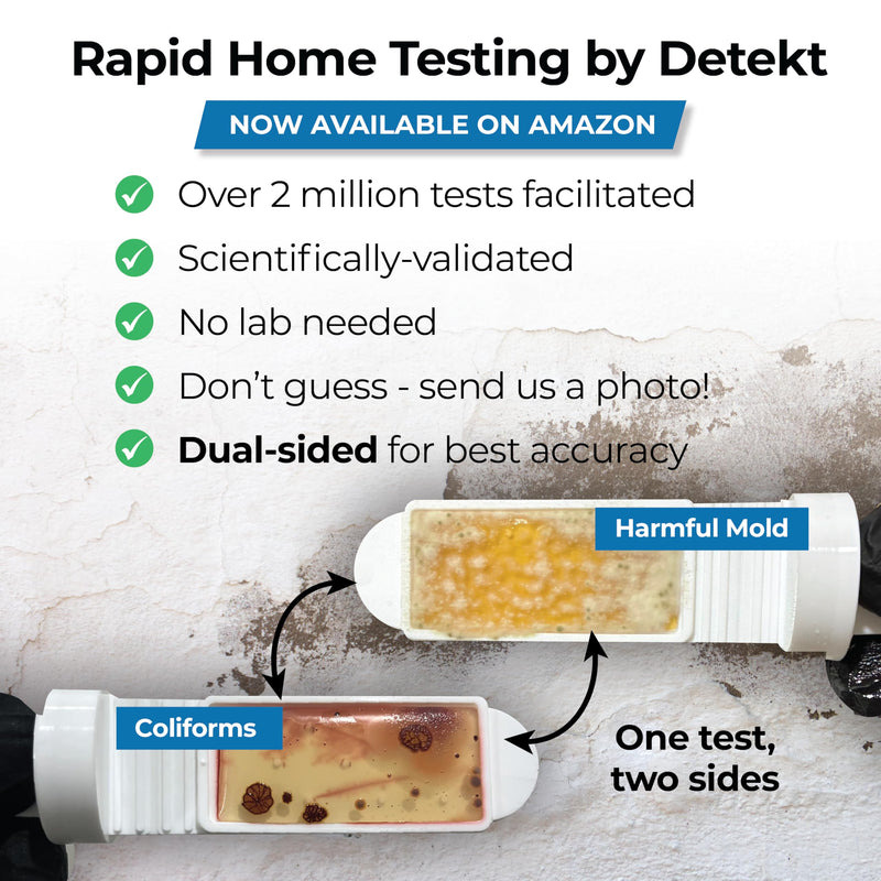 #1 Indoor Air Quality Test Kit by Detekt - (12) Screening Tests 6 Mold Tests + 6 Bacteria Tests - Test HVAC & Surfaces - DIY Mold Testing - Species Identification Guide & Consultation - Made in USA