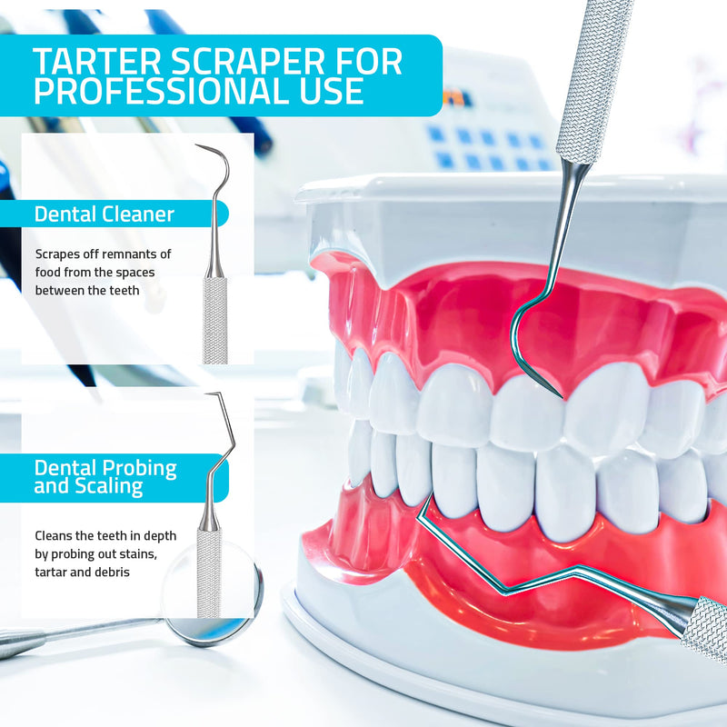 [Australia - AusPower] - Utopia Care Professional Dental Tartar Scraper Tool - Dental Pick, Double Ended Tartar Remover for Teeth, Plaque Remover, Tooth Scraper - (6.5 Inch, Silver 1) 
