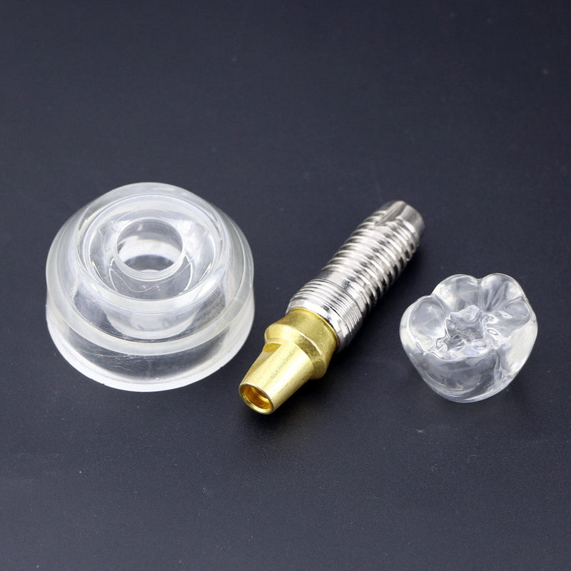 [Australia - AusPower] - 1 Pc Dental Model #2020 01 - Clear Implant Model Dental Implant Demonstration Model Teeth Study Teach 