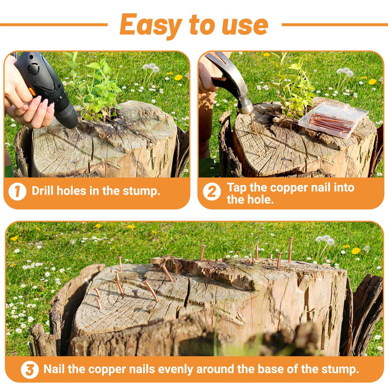[Australia - AusPower] - Pack 10 Copper Nails for Killing Trees Stump Root, 3.14" Copper Nails with Drill, Stump Removal Spikes Hardware Nails for Trees 3.14 " -10PCS 
