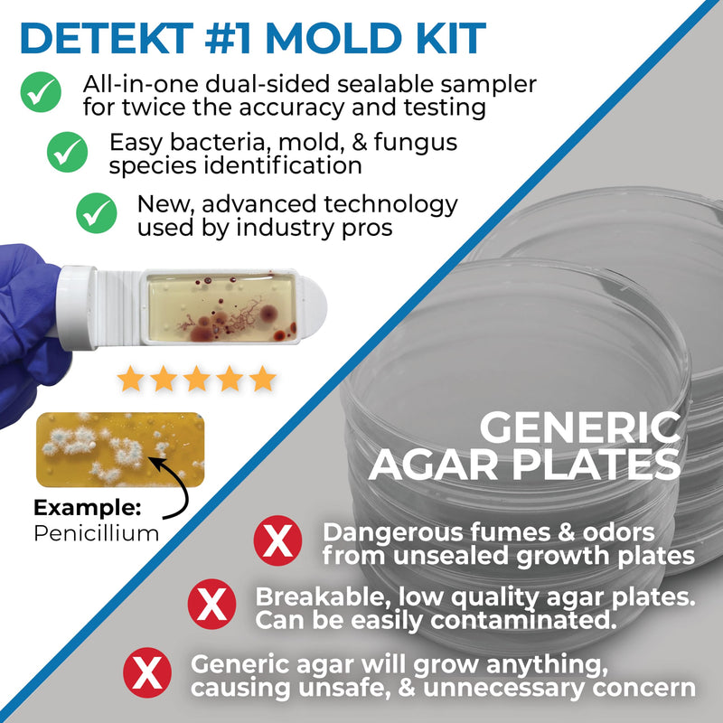 Mold Test Kit for Home by Detekt - with 4 Mold Detection + 4 Bacteria Detection Tests for HVAC, Surfaces, & Indoor Air Quality - DIY Kit inlcudes Detailed Identification Guide & Free Consultation