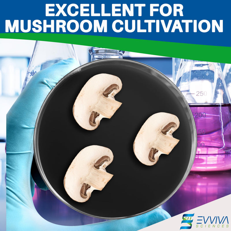 ES EVVIVA SCIENCES Pre-Poured Black Malt Extract Agar Plates – Includes Both Black Dye & Charcoal for Enhanced Culture Visualization - Excellent Growth Medium - Great for Mushrooms & Science Projects