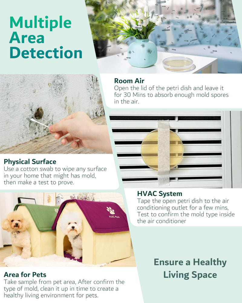 [Australia - AusPower] - Mold Test Kit for Home, 8 Detection Tests for HVAC, Surfaces & Indoor Air Quality, DIY Black Mold Detector Testing kit at Home, Includes Detailed Identification Guide, 5X Magnifier & Free Lab Analysis 8 Test Plates 