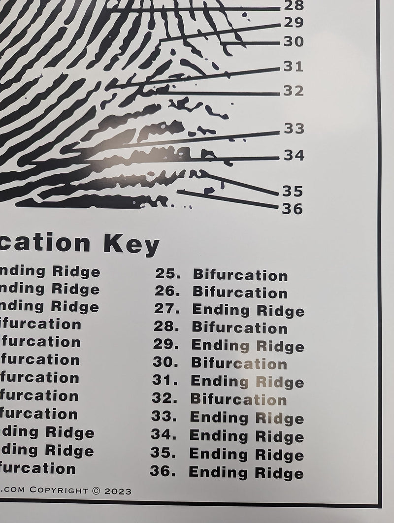 [Australia - AusPower] - Crime Scene Fingerprint Chart, Poster Size 24" by 36" 