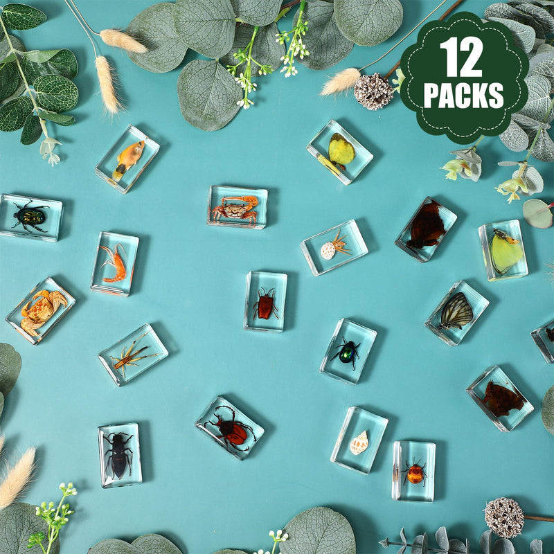 [Australia - AusPower] - 12 Pcs Ocean Animal Insect in Resin Specimen Bugs Collection Paperweights?12 Styles Real Bug Specimen Bug Kit Preserved in Resin for Scientific Educational Display Supplies (Ocean) 