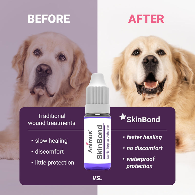 [Australia - AusPower] - Animus SkinBond Animal Skin Glue | Quick-Setting Surgical Glue | Fast-Acting Bleeding Control & Wound Closure | Flexible & Waterproof Wound Sealer | 2ml & 10 Applications - Made in The USA 