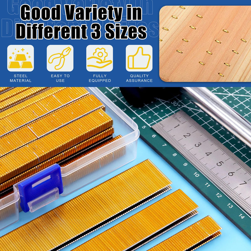 [Australia - AusPower] - Glarks 2000Pcs 18 Gauge Narrow Crown Staples, 1 Inch Galvanized Crown Narrow Staples Assortment Kit for Electric Stapler, Pneumatic, DIY Home Improvement (Gold) k425 
