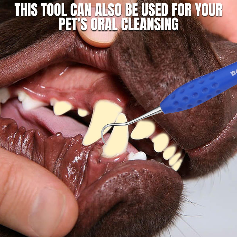 [Australia - AusPower] - Professional Dental Tools Tartar Scraper For Dentist, Personal and Pets Use Plaque Remover With Comfortable Grip, Double ended Silicon Grip Scaler 