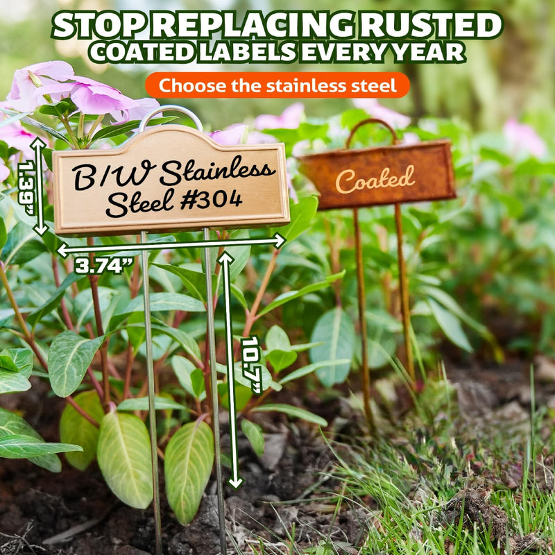 Stainless Steel 304 Plant Labels Weatherproof, Metal Garden Label Tall Markers 25 Pack for Plants Vegetables Herb Seedlings Flowers with 2 Pens, Height 10.75 Inch, Label Area 3.74'' x 1.39'' Gold