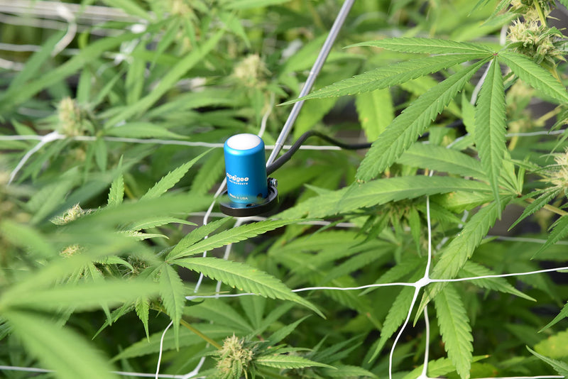 [Australia - AusPower] - AM-310 Telescopic Sensor Wand by Apogee Instruments 