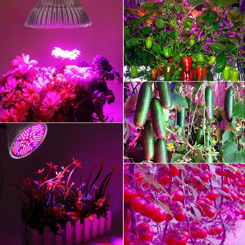 [Pack of 2] 100W Led Plant Grow Light Bulb, Full Spectrum 150 LEDs Indoor Plants Growing Light Bulb Lamp for Vegetables Greenhouse and Hydroponic, E26 E27 Base Grow Light Bulbs, AC 85~265V 2 Count (Pack of 1)