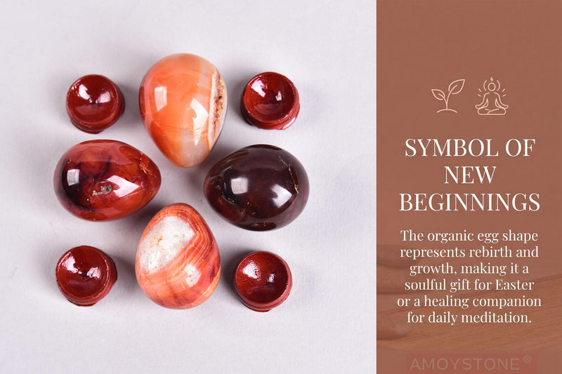 AMOYSTONE Red Agate Eggs Set of 4 (Polished Banded Agate) - Natural Gemstone Specimens with Wooden Base for Display & Collection (1.5-2 Inch, 2.8 oz) 1.5-2 Inch Red Agate Mini