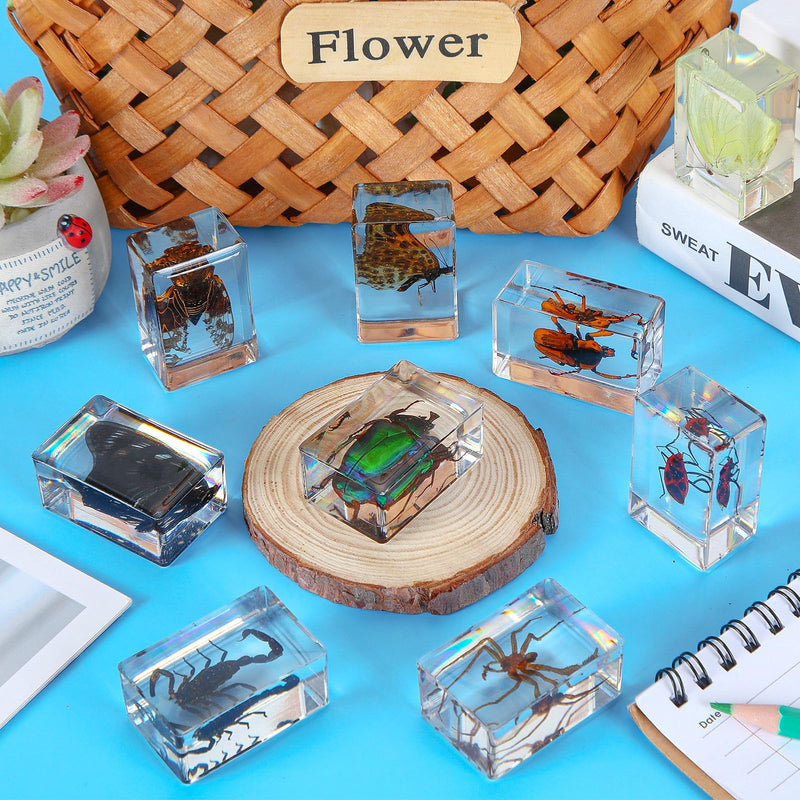 [Australia - AusPower] - 9 Pcs Insect in Resin Specimen Bugs Collection Paperweights Arachnid Butterfly Bug Toys Different Real Bugs in Resin Educational Science Classroom Specimens Display Supplies, 9 Styles 