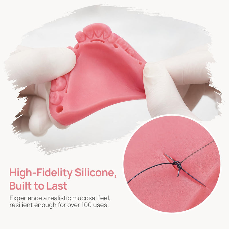 Dental Suture Practice Kit, YOUYA DENTAL Oral Suture Kit Suture Training with Bionic Oral Wound Gum Cutting & Gingival Suturing, 2 Silicone Suture Pads Modules Dental for School Students Dentist Oral suture kit-2 Suture Pads