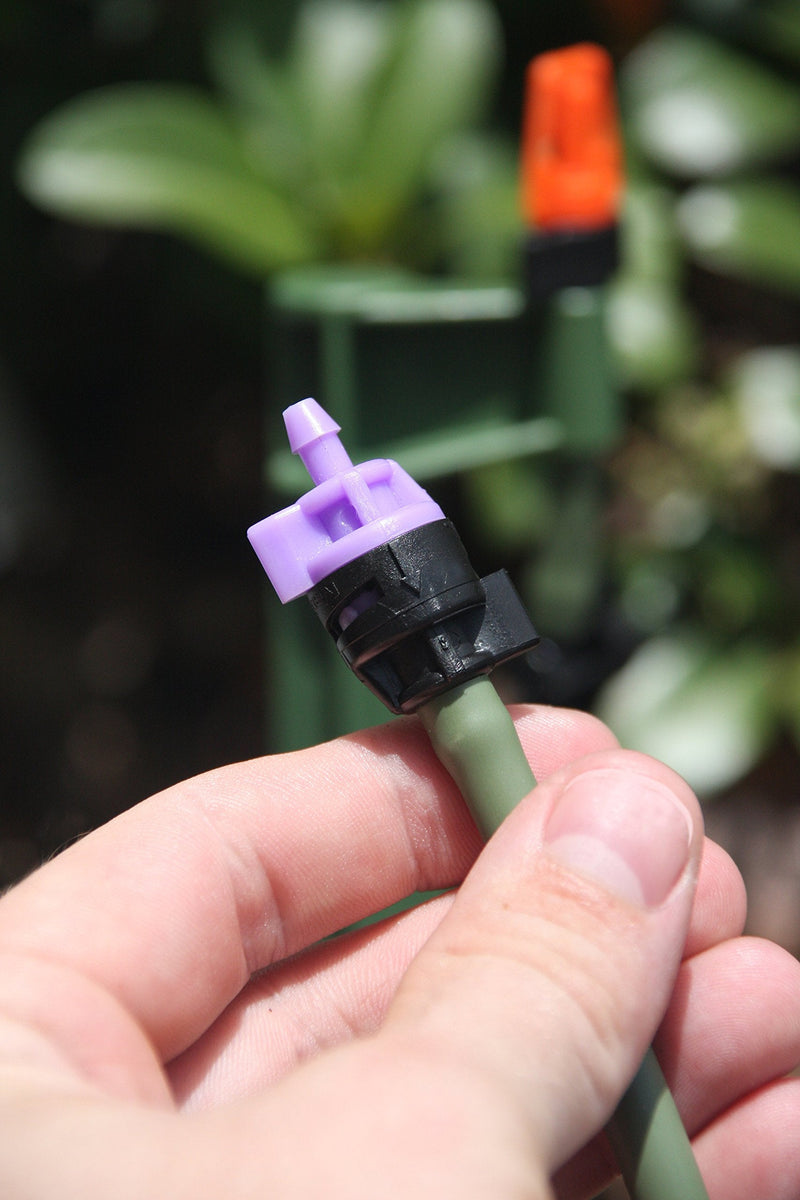 [Australia - AusPower] - Mister Landscaper 10 GPH Violet Flow Controller 