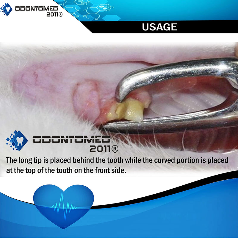 [Australia - AusPower] - OdontoMed2011 DENTAL TARTAR REMOVER FORCEPS SMALL 4½" 4.5" TARTER REMOVER STAINLESS STEEL 