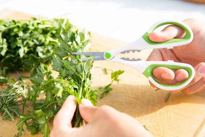 [Australia - AusPower] - Zyliss Heavy Duty Home & Kitchen Herb Shears Scissors with Innovative Stem Stripper, Versatile Kitchen Shears for Trimming Weeds, Flower Buds & More - White/Green - 8.5 x 4.2 x 0.4 inches Herb Snippers 