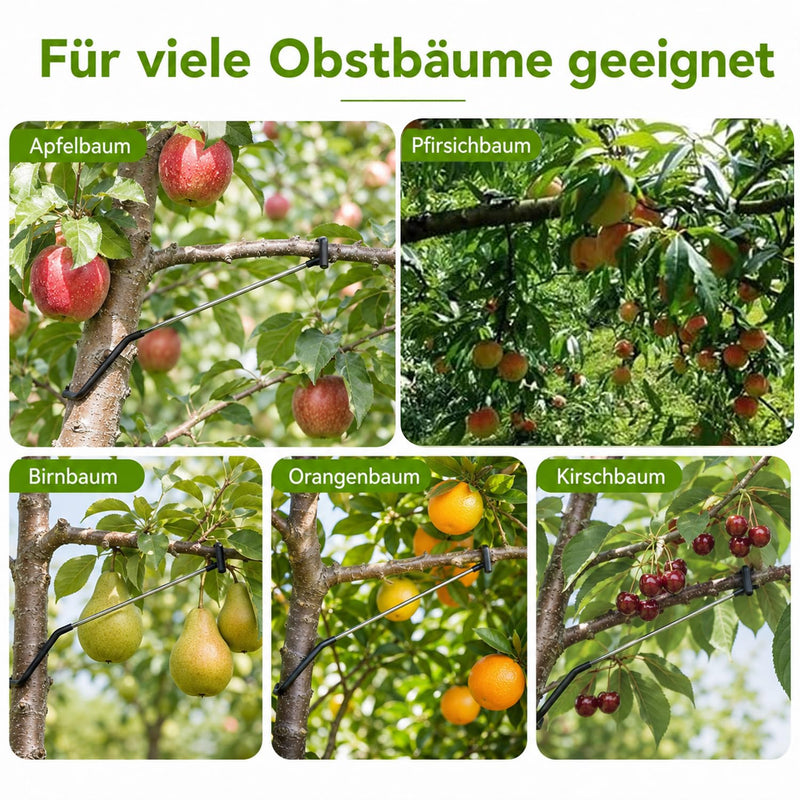 20 Stück Obstbaum-Astabspreizer, Neuer Astspreizer, Beschädigt Keine Äste, Obstbaum-Zweigstreuer aus Hochkohlenstoffstahl, Aststütze für Obstbäume für Baumstützen, Äste, Verlängerung,18cm 18cm