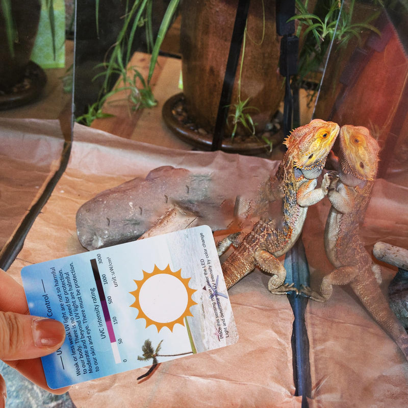 HEMOTON UV Measuring Device Terrarium Test Cards Made of PVC, Pack of 10 UV Test Cards for Outdoor Use with Versatile Use and Easy Transport for Reptile Glass Containers | 8.5 x 5.4 cm, As Shown, For Outdoor Activities, Lightweight and Portable